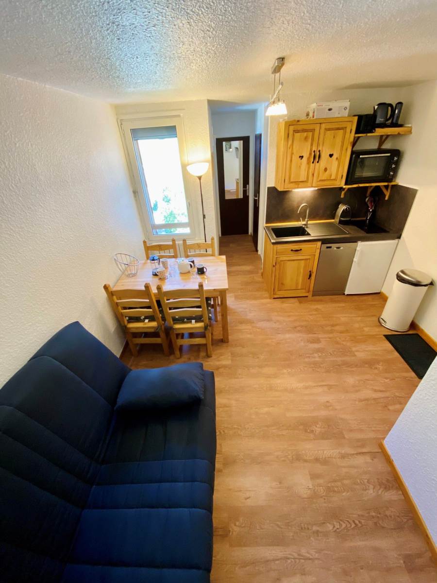 LE COTE BRUNE 4 BC6 Appartement 4 personnes LES DEUX ALPES