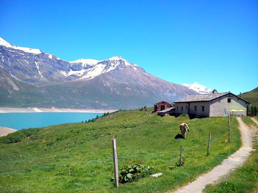 Gîtes de France N°73G143550 (DU LAC DU MONT CENIS) VAL CENIS LANSLEBOURG